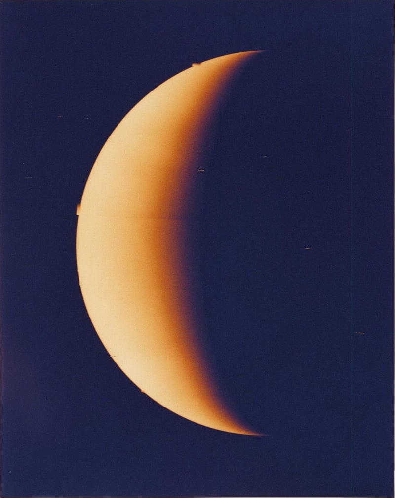 Venus Ornament